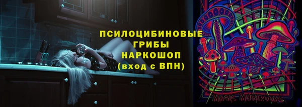 дурь Алексин
