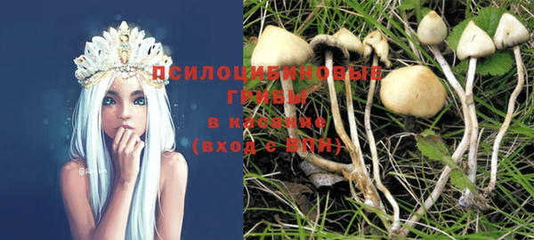 дмт Алзамай