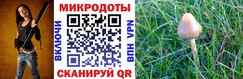 как найти закладки  Златоуст  Галлюциногенные грибы мухоморы 